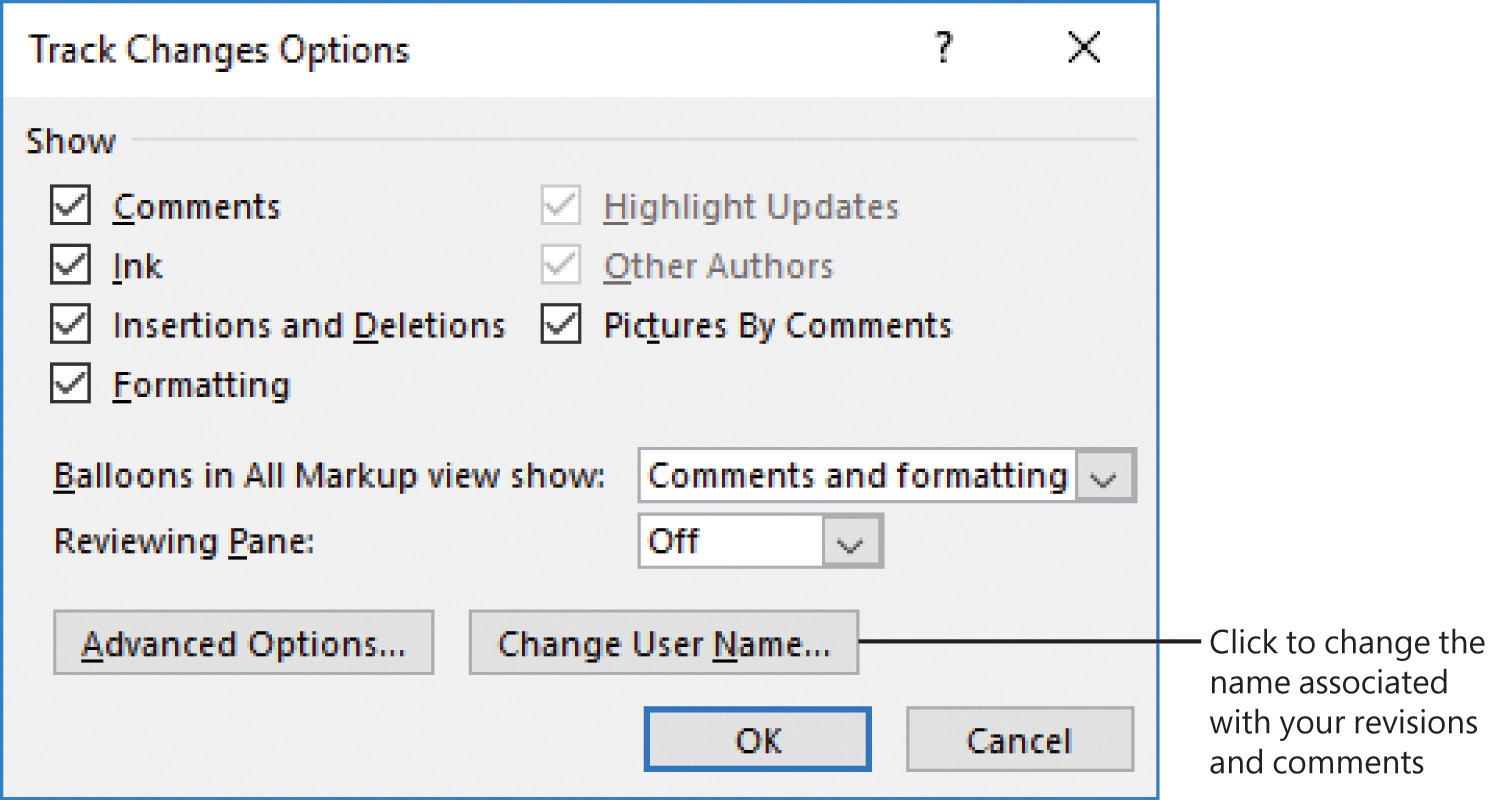 Screenshot of the Track Changes Options dialog box.